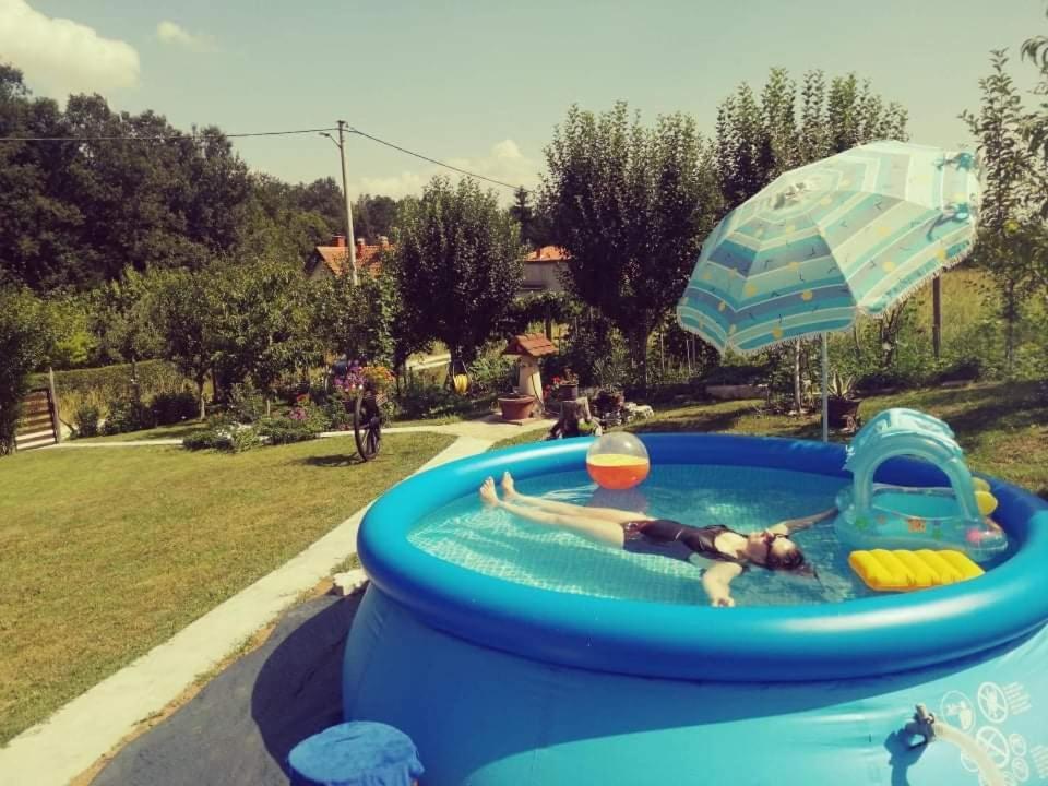 "Porodica Markovic" Borsko Jezero Beljevina Bagian luar foto