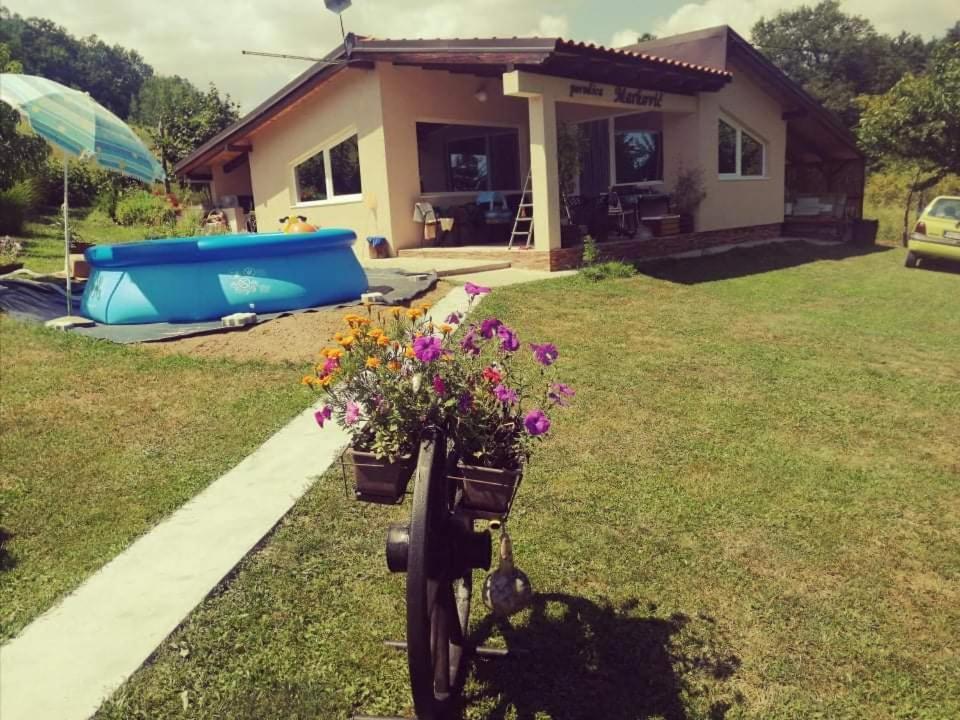 "Porodica Markovic" Borsko Jezero Beljevina Bagian luar foto
